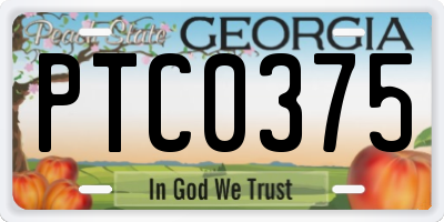 GA license plate PTC0375