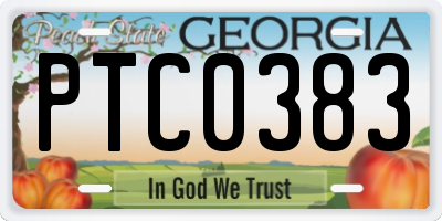 GA license plate PTC0383