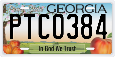 GA license plate PTC0384