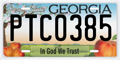GA license plate PTC0385