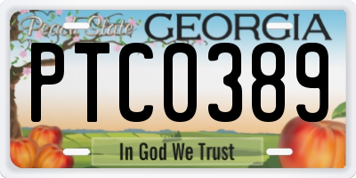 GA license plate PTC0389