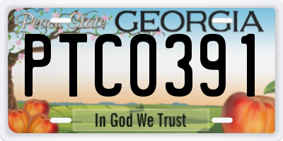 GA license plate PTC0391