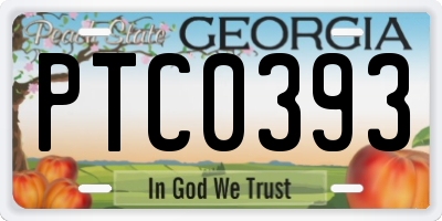 GA license plate PTC0393