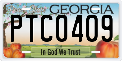 GA license plate PTC0409