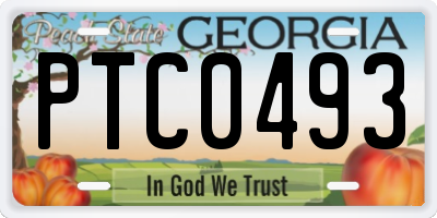 GA license plate PTC0493