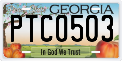 GA license plate PTC0503