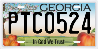 GA license plate PTC0524