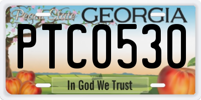 GA license plate PTC0530