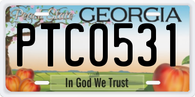 GA license plate PTC0531