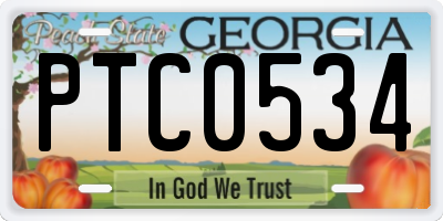 GA license plate PTC0534