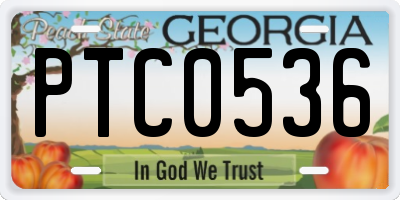 GA license plate PTC0536
