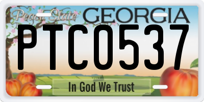 GA license plate PTC0537