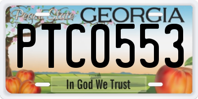 GA license plate PTC0553