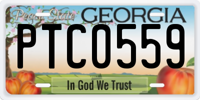 GA license plate PTC0559