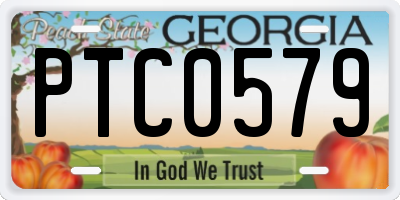 GA license plate PTC0579