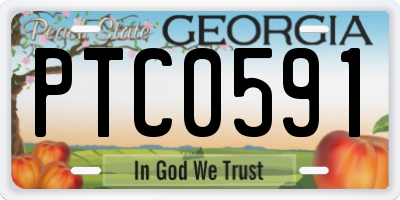 GA license plate PTC0591