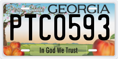 GA license plate PTC0593