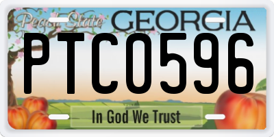 GA license plate PTC0596