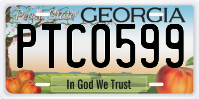 GA license plate PTC0599
