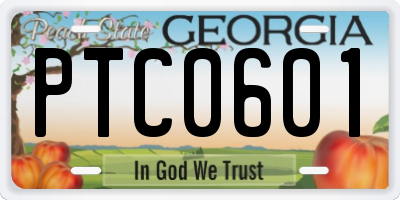 GA license plate PTC0601