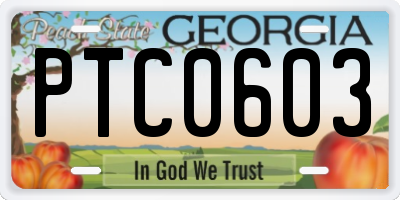GA license plate PTC0603