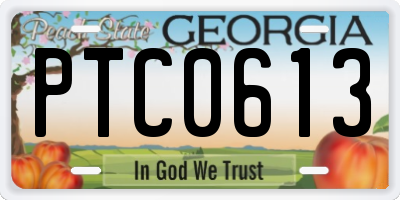 GA license plate PTC0613