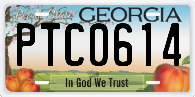 GA license plate PTC0614