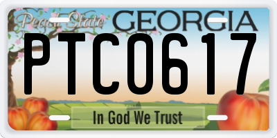 GA license plate PTC0617