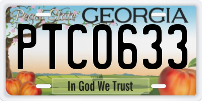 GA license plate PTC0633