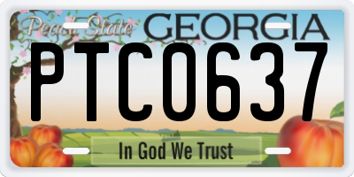 GA license plate PTC0637
