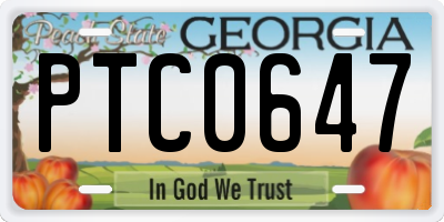 GA license plate PTC0647