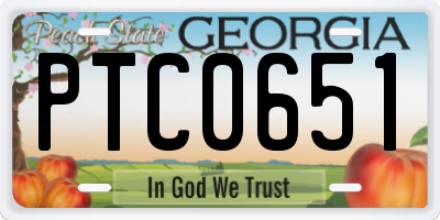 GA license plate PTC0651