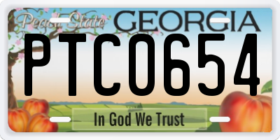 GA license plate PTC0654