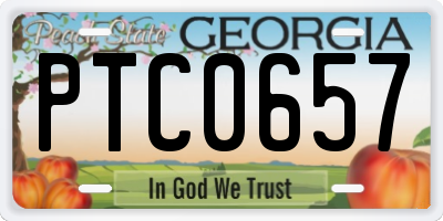 GA license plate PTC0657