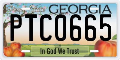 GA license plate PTC0665