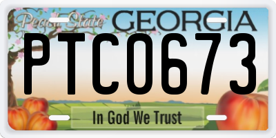GA license plate PTC0673