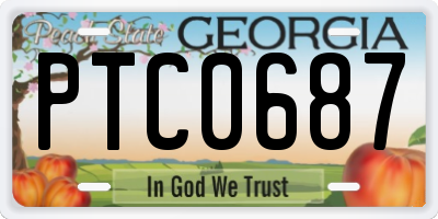 GA license plate PTC0687