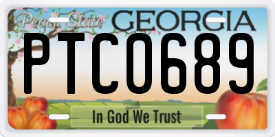 GA license plate PTC0689