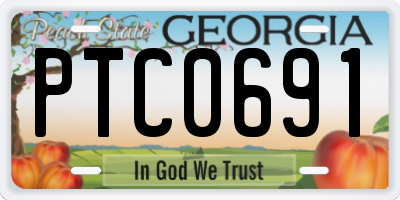 GA license plate PTC0691