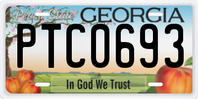 GA license plate PTC0693