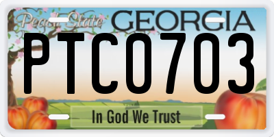 GA license plate PTC0703