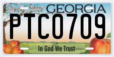 GA license plate PTC0709