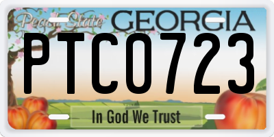 GA license plate PTC0723