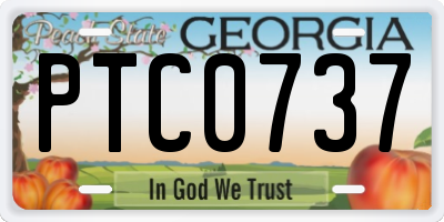 GA license plate PTC0737