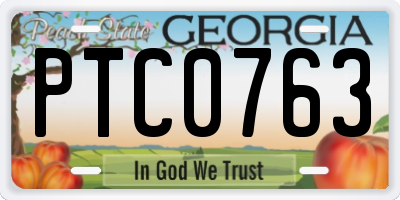 GA license plate PTC0763