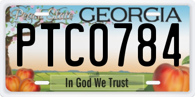 GA license plate PTC0784