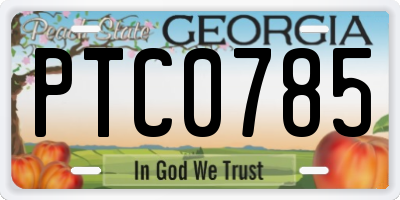 GA license plate PTC0785