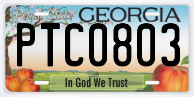 GA license plate PTC0803