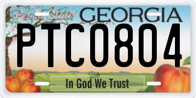 GA license plate PTC0804