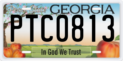 GA license plate PTC0813